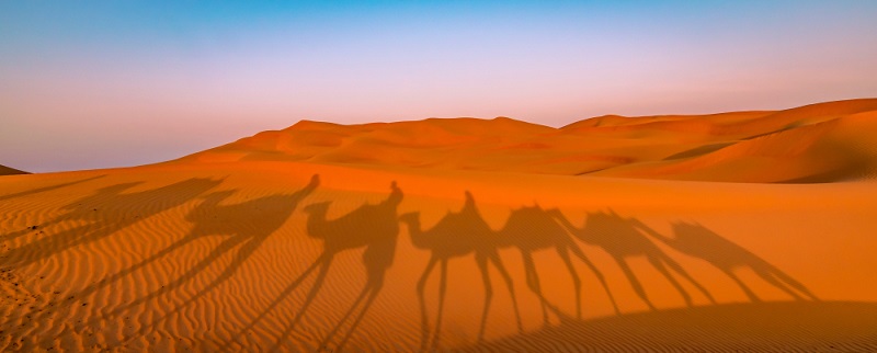 Dubaj: pustynia, quad, jazda na wielbłądzie