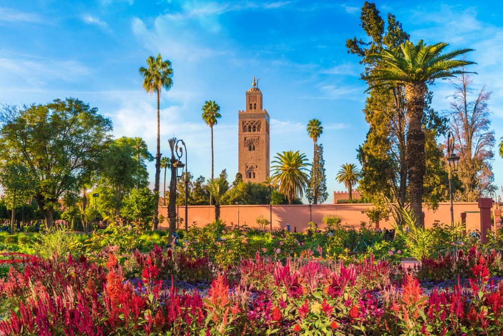 Widok na Meczet Koutoubia i gardem w Marrakeszu, Maroko