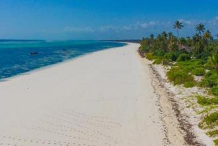 Paradise tropical beach Zanzibar island