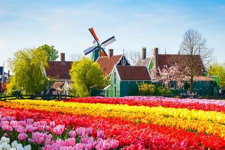 Wiosenna Holandia dla Wygodnych