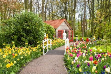 Wiosenna Holandia dla Wygodnych