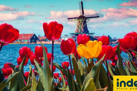 Wycieczka do Amsterdamu + Festiwal Tulipanów Express
