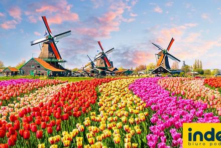 Wycieczka do Holandii na Paradę Kwiatową BB
