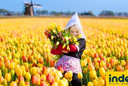 Wycieczka do Holandii na Paradę Kwiatową Express