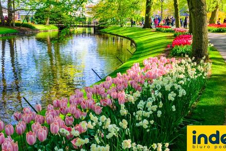 Wycieczka do Holandii na Paradę Kwiatową Express