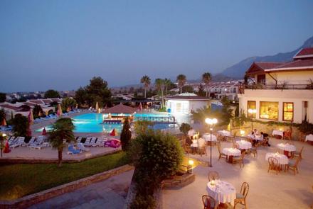 The Olive Tree Hotel