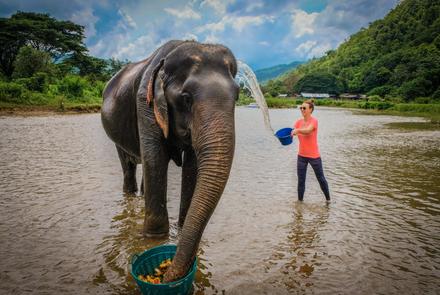Azyl dla Słoni w Tajlandii