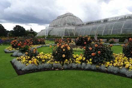Ogrody Kew